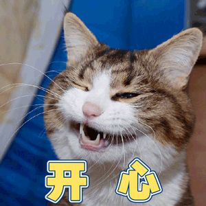南京人的“裝修恐懼癥”，終于有救了