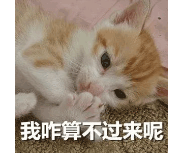 別等618了，本周末就能鎖定裝修優(yōu)惠！
