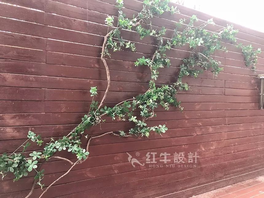 南京后宰門街75㎡北歐風(fēng)格--美翻了的家庭小院07院子設(shè)計