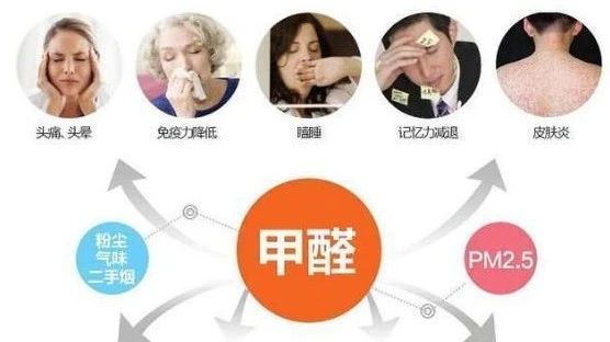 春季家裝節(jié)，綠色煥新月，優(yōu)惠享不停！