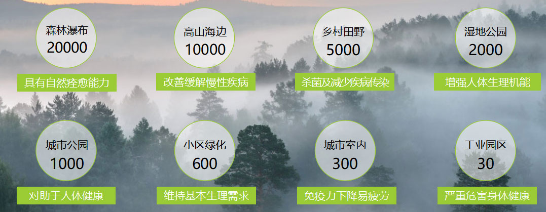 健康養(yǎng)生墻面｜讓家里的空氣，像雨后森林般清新！