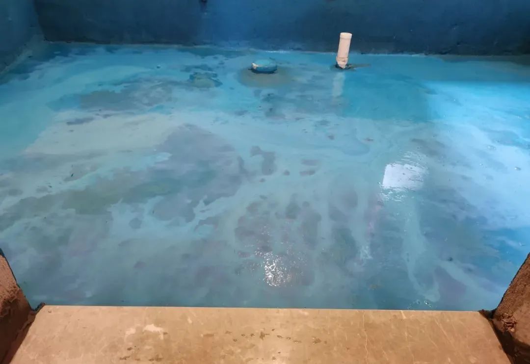 工地突擊巡檢｜沒想到，這家工地竟治愈了我的“強(qiáng)迫癥”