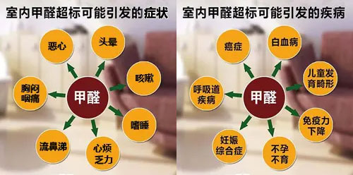 擔(dān)心家里甲醛超標(biāo)，教您一招，安安心心住新家！